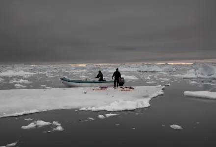 Seal hunters near Ilulissat, Greenland.