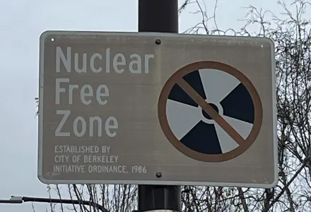 Nuclear Free Zone Sign