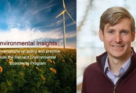 Environmental Insights graphic
