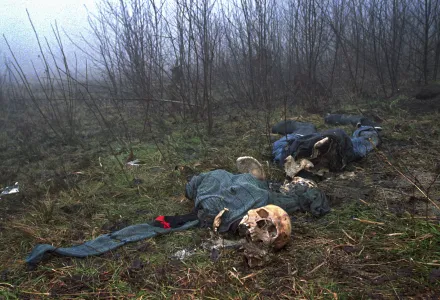 3.	 In this Feb. 4, 1996, file photo one of four clothed skeletons being examined by U.N. investigator Elizabeth Rehn as she tries identify an estimated 8,000 Muslim men missing after the Serb conquest of the former Muslim enclave of Srebrenica in July 1995, lies on a hilltop. 