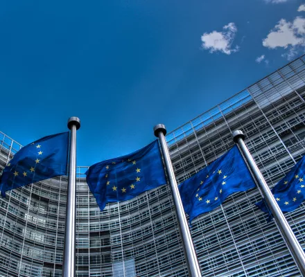 European Union Flags