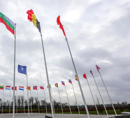 Flags of NATO member countries flap in the wind 