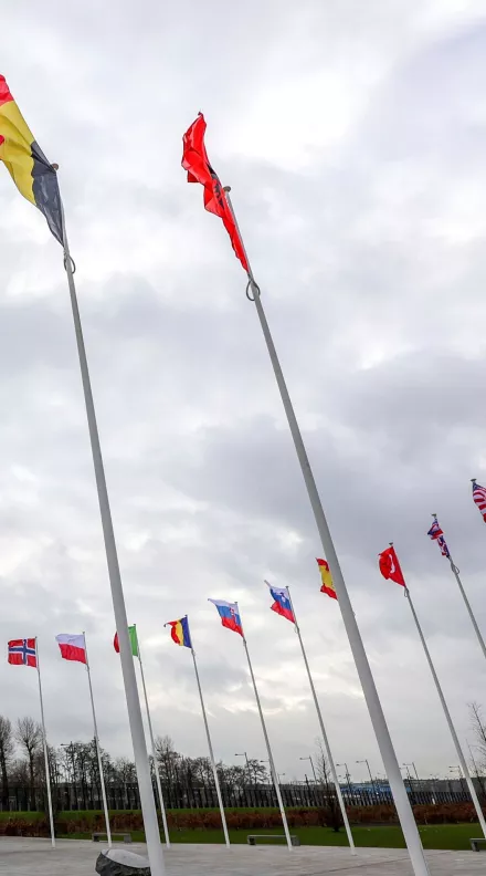 Flags of NATO member countries flap in the wind 