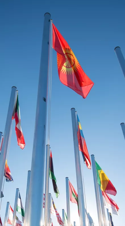 Flags of the world