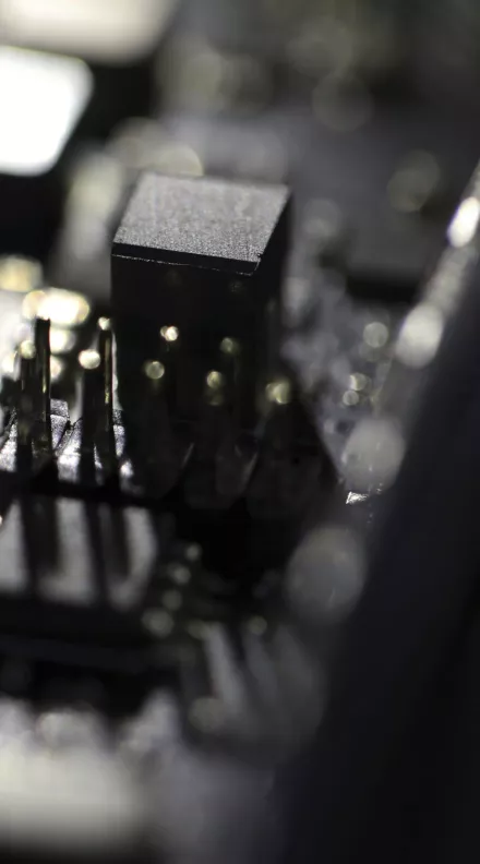 Cybersecurity Ransomware Reward