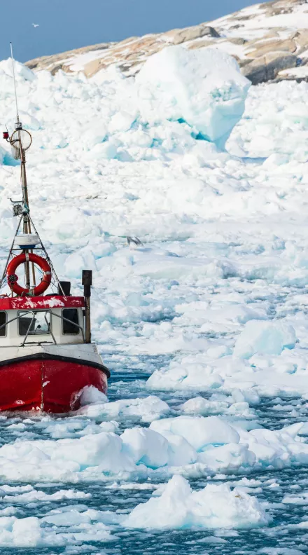 A fishing boat navigates through sea ice in Greenland.